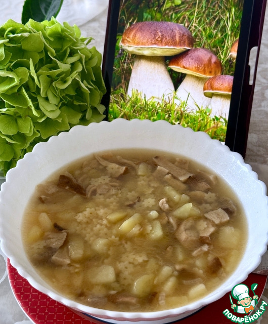 Грибной суп. Из сушеных боровиков